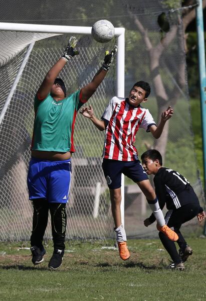 Diego maradona deals soccer academy